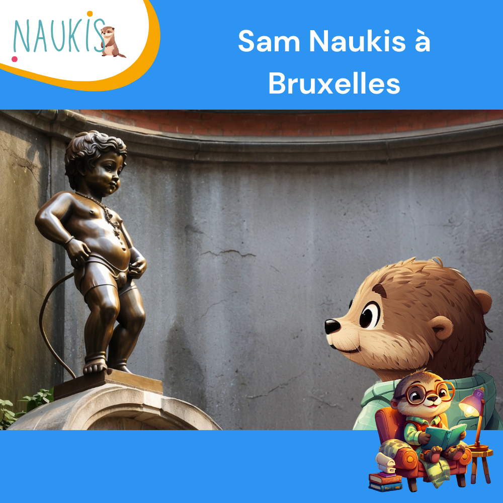 Ebook Villes - Sam Naukis à Bruxelles