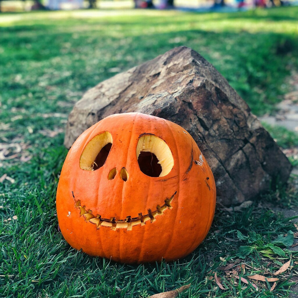 Pumpkin for Halloween